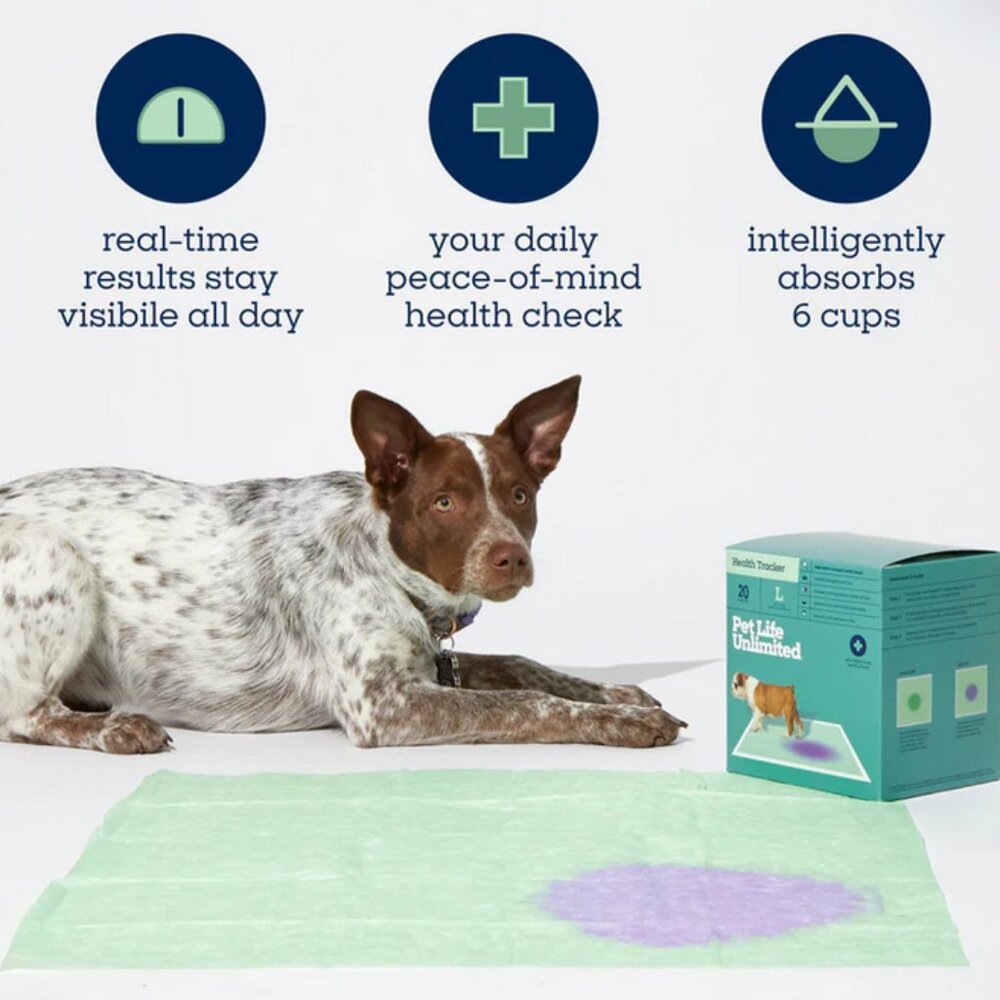 Pet Life Unlimited Health Tracker 20 Unscented Dog Pee Pads, Large: 22" x 22" - Picture 3 of 16
